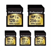 Micro SD Flash